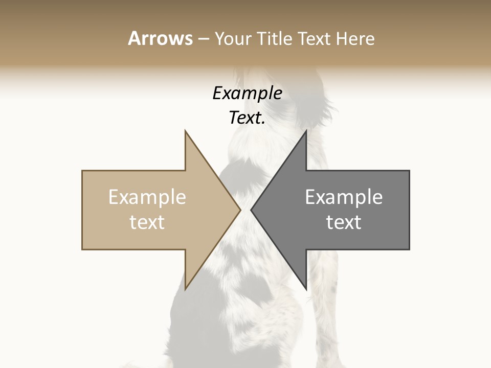 White Hunter Gundog PowerPoint Template