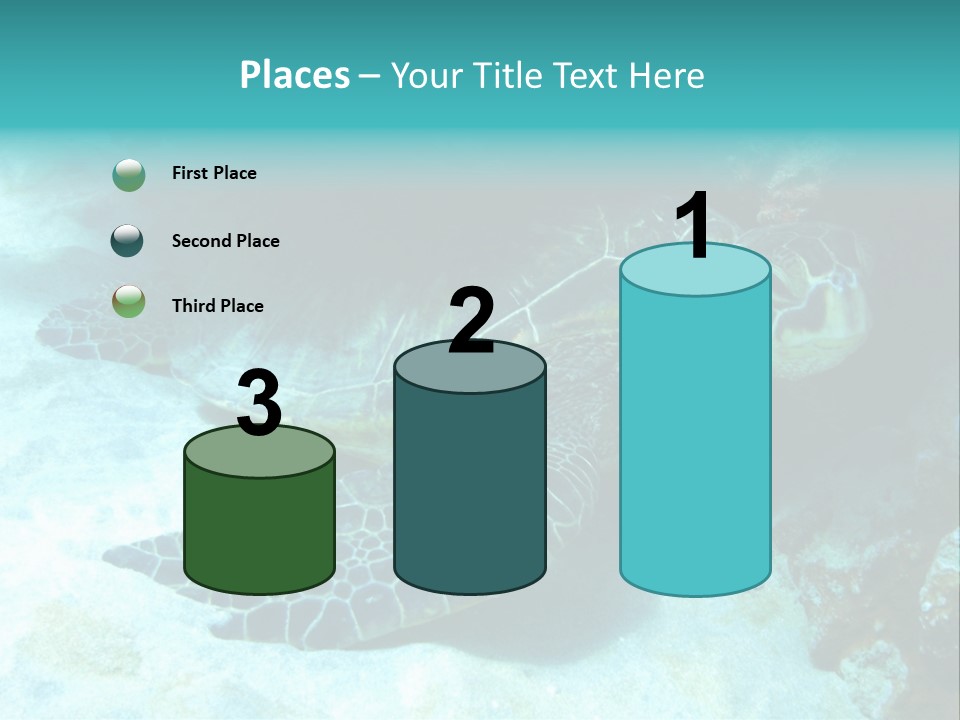 A Turtle Swimming In The Ocean Powerpoint Template PowerPoint Template