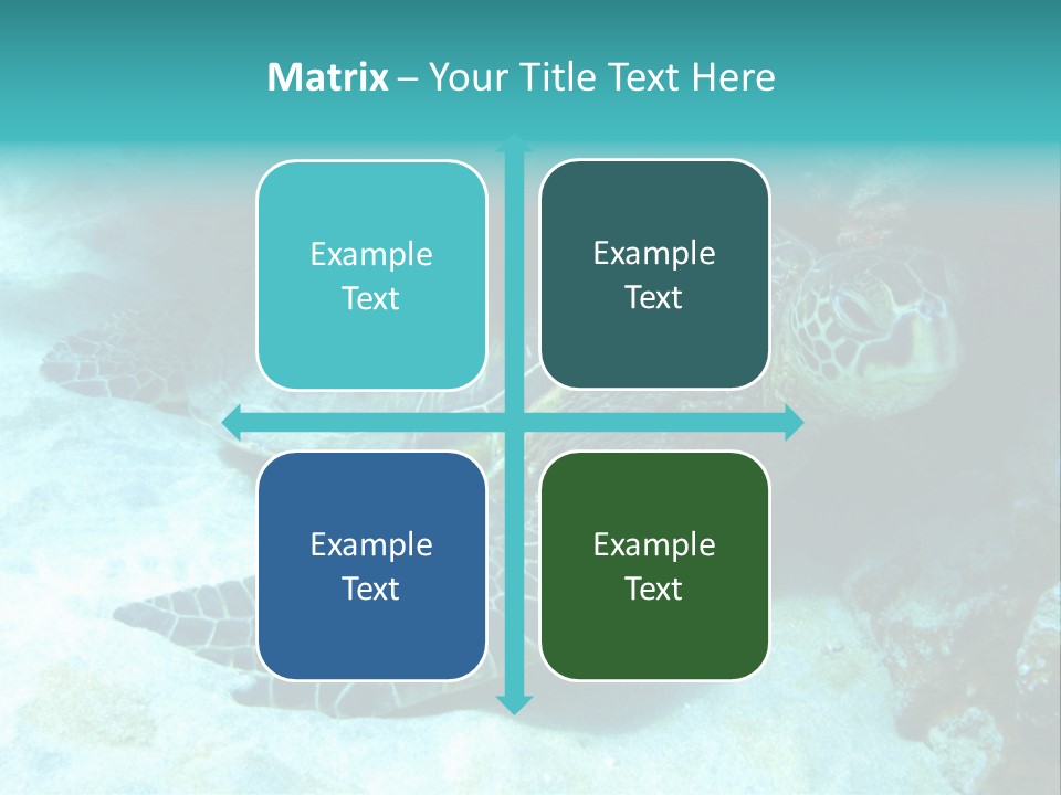 A Turtle Swimming In The Ocean Powerpoint Template PowerPoint Template