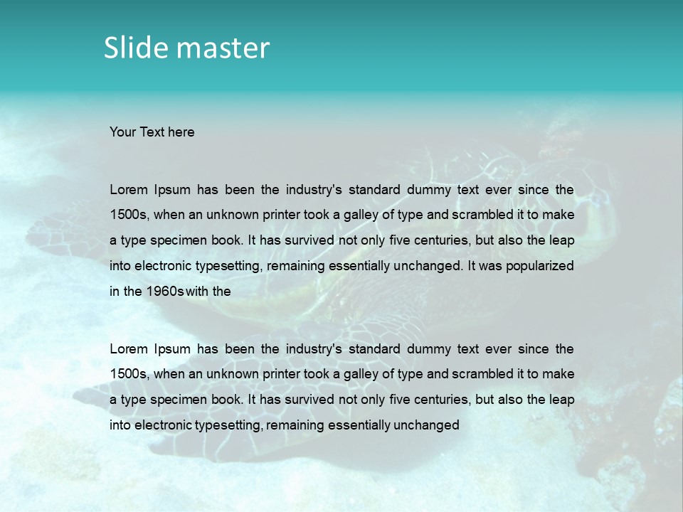 A Turtle Swimming In The Ocean Powerpoint Template PowerPoint Template