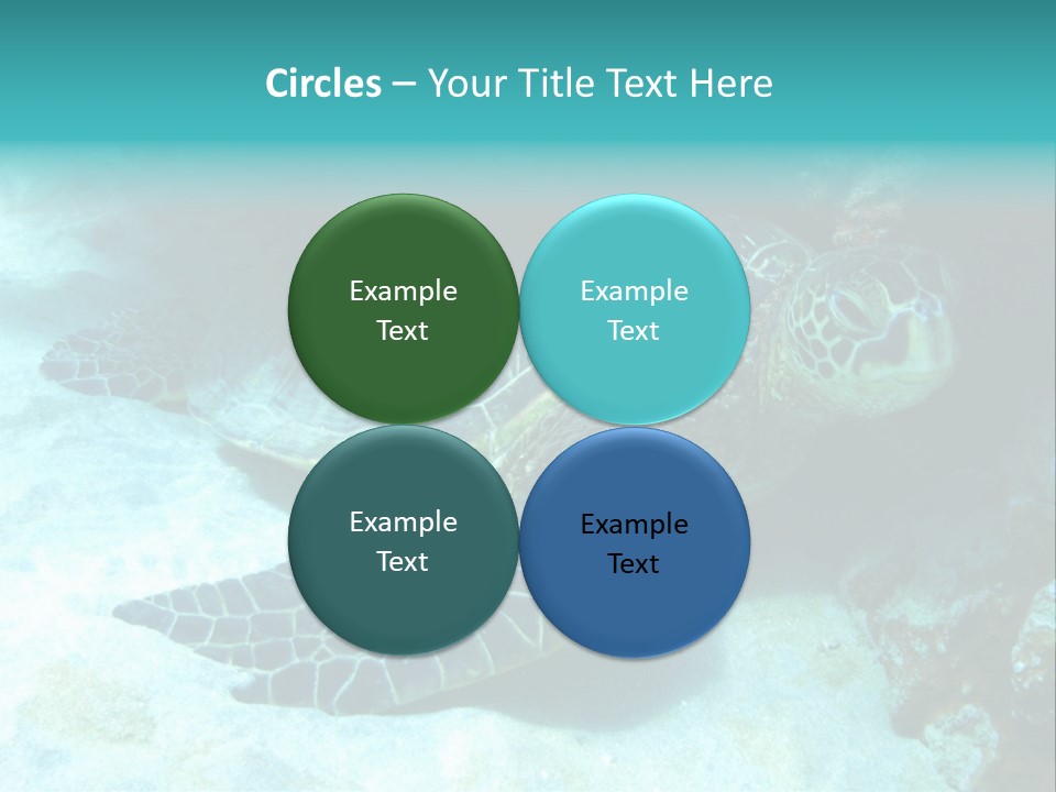 A Turtle Swimming In The Ocean Powerpoint Template PowerPoint Template