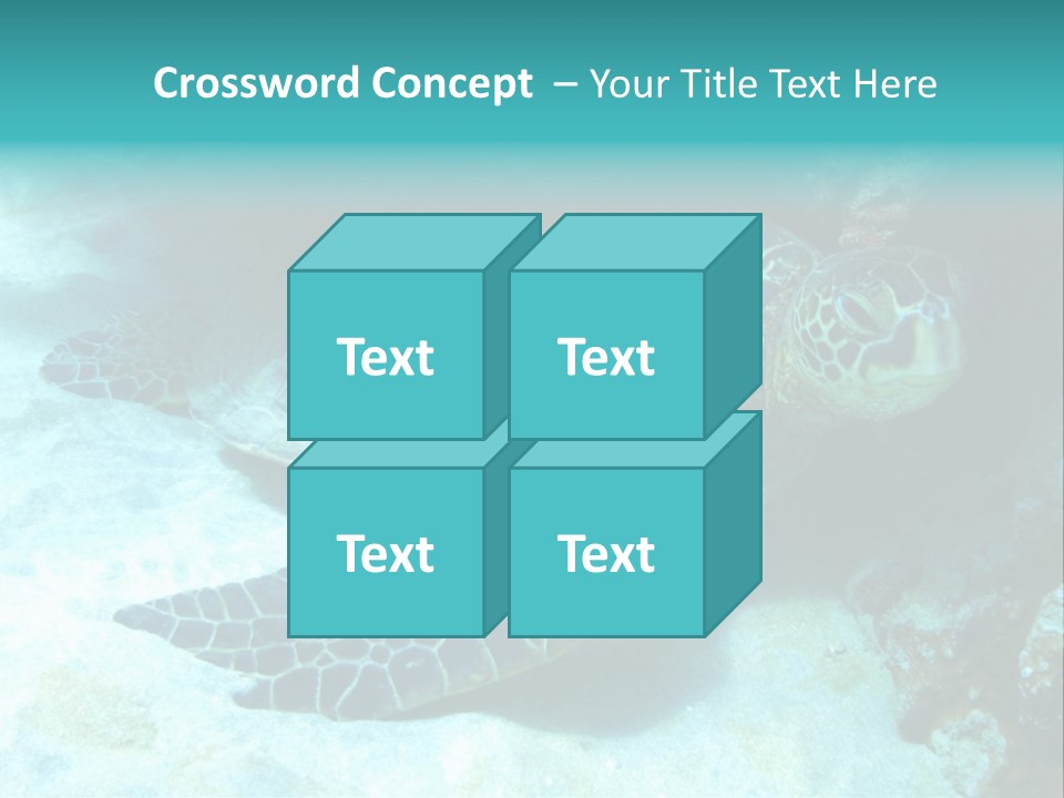 A Turtle Swimming In The Ocean Powerpoint Template PowerPoint Template