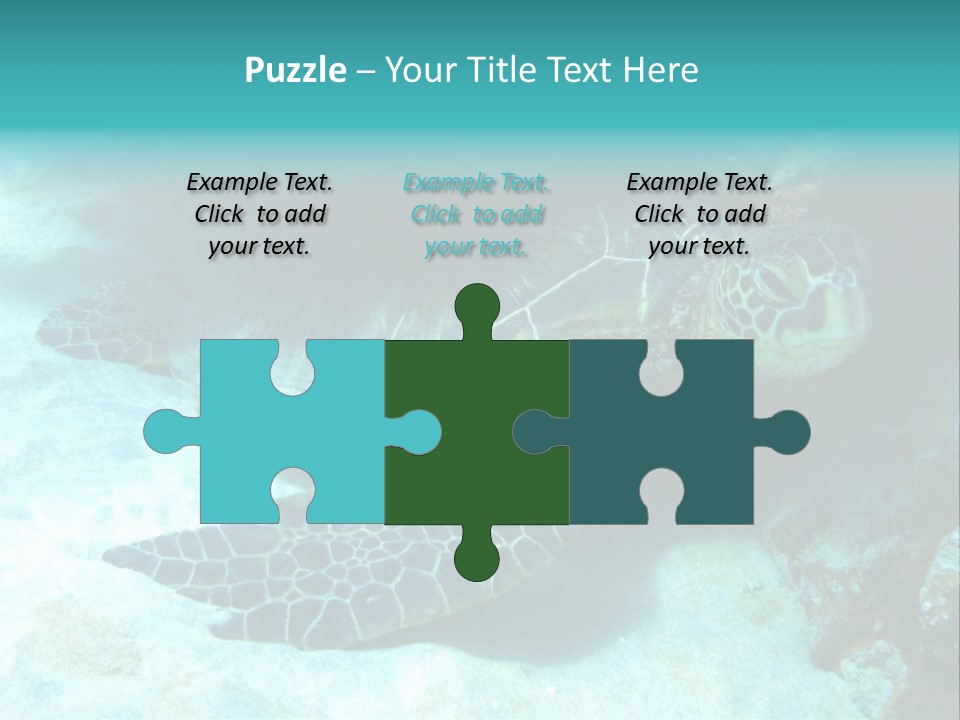 A Turtle Swimming In The Ocean Powerpoint Template PowerPoint Template