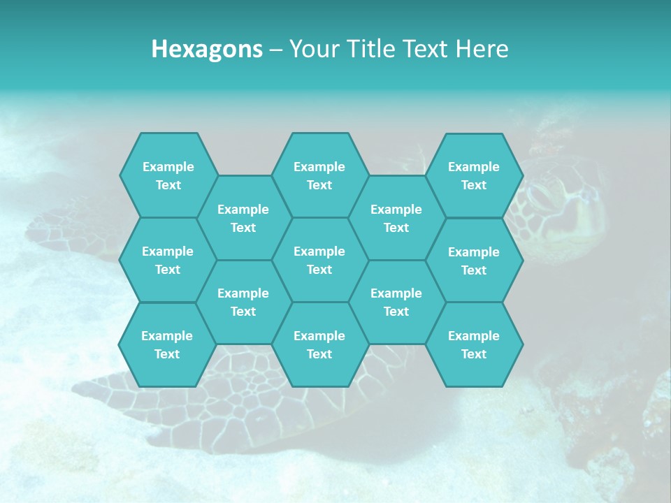 A Turtle Swimming In The Ocean Powerpoint Template PowerPoint Template