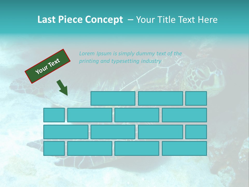 A Turtle Swimming In The Ocean Powerpoint Template PowerPoint Template