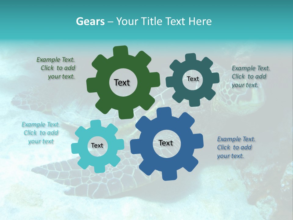 A Turtle Swimming In The Ocean Powerpoint Template PowerPoint Template