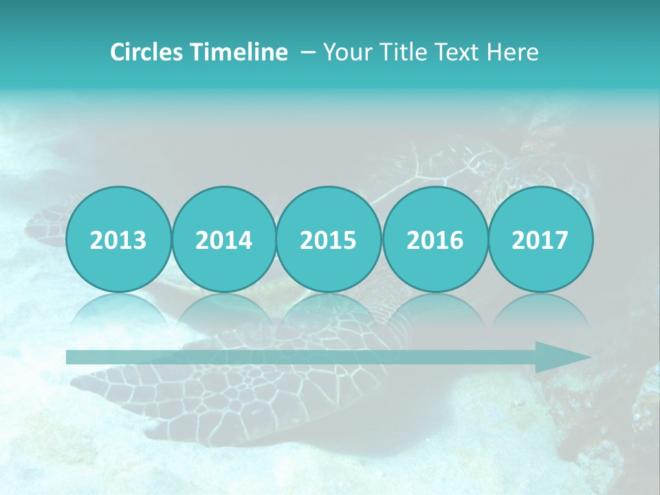 A Turtle Swimming In The Ocean Powerpoint Template PowerPoint Template