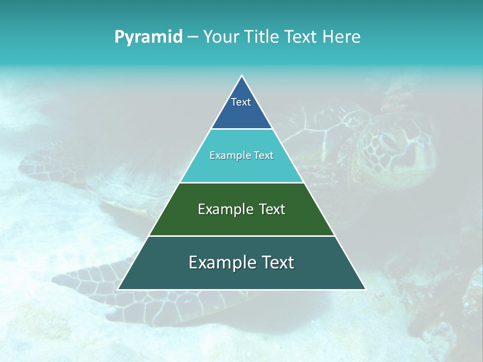 A Turtle Swimming In The Ocean Powerpoint Template PowerPoint Template