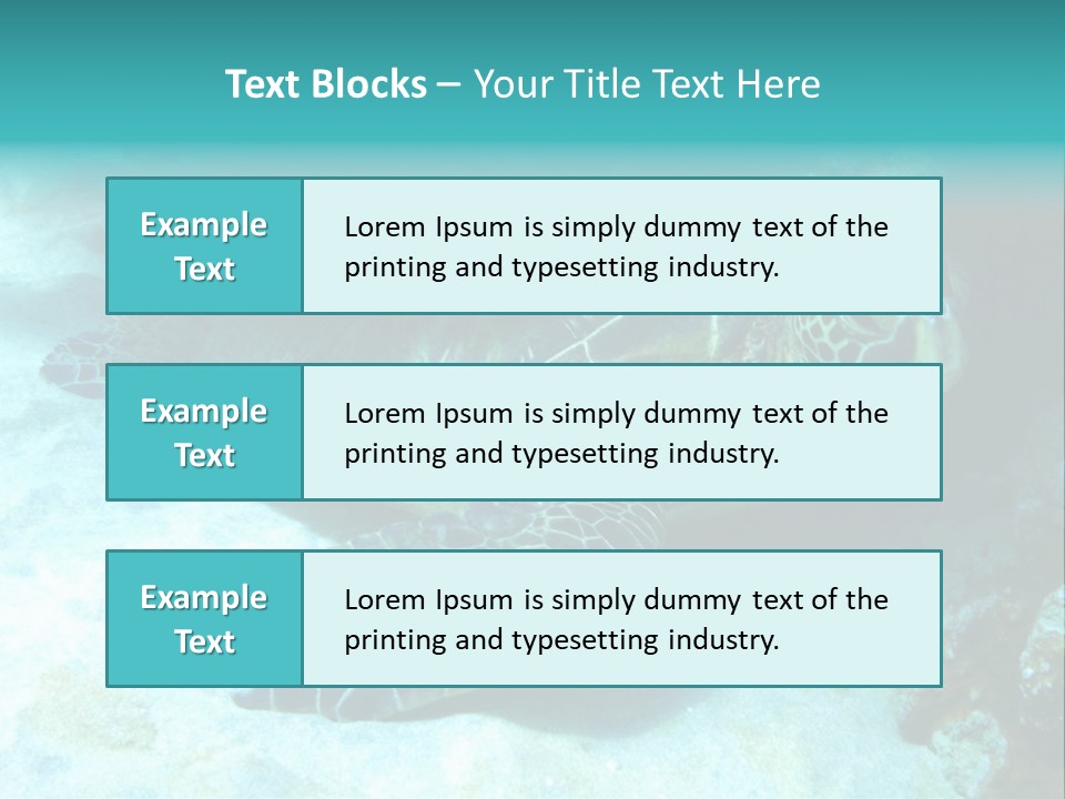 A Turtle Swimming In The Ocean Powerpoint Template PowerPoint Template
