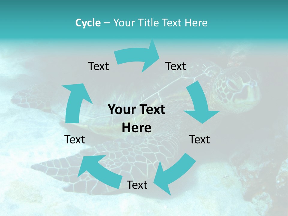 A Turtle Swimming In The Ocean Powerpoint Template PowerPoint Template