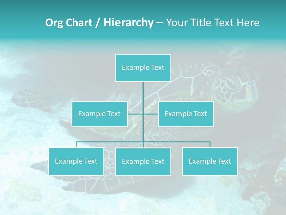 A Turtle Swimming In The Ocean Powerpoint Template PowerPoint Template