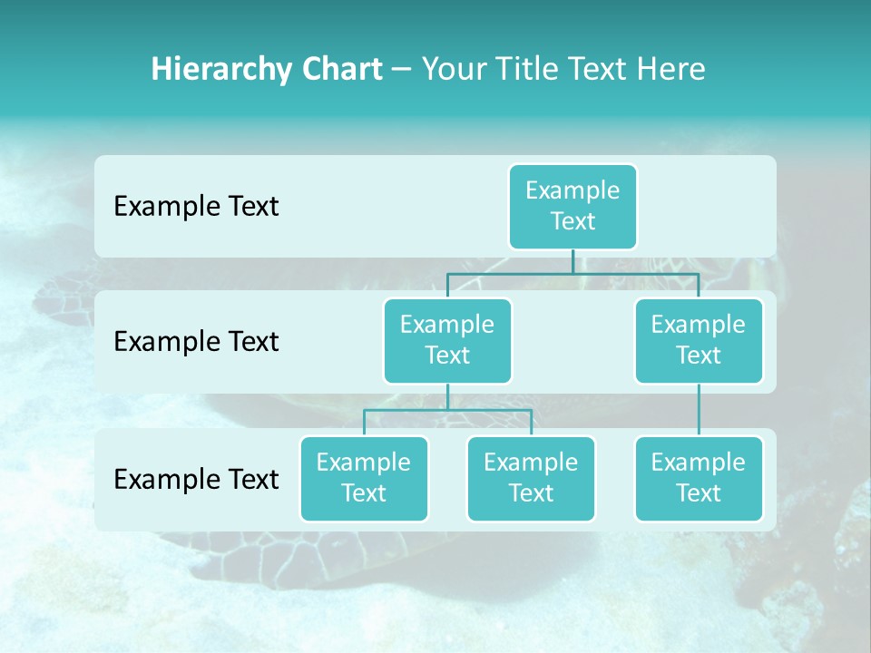 A Turtle Swimming In The Ocean Powerpoint Template PowerPoint Template