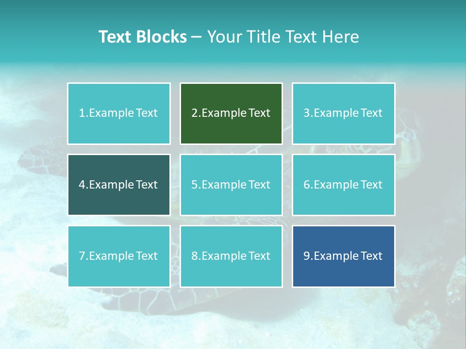 A Turtle Swimming In The Ocean Powerpoint Template PowerPoint Template