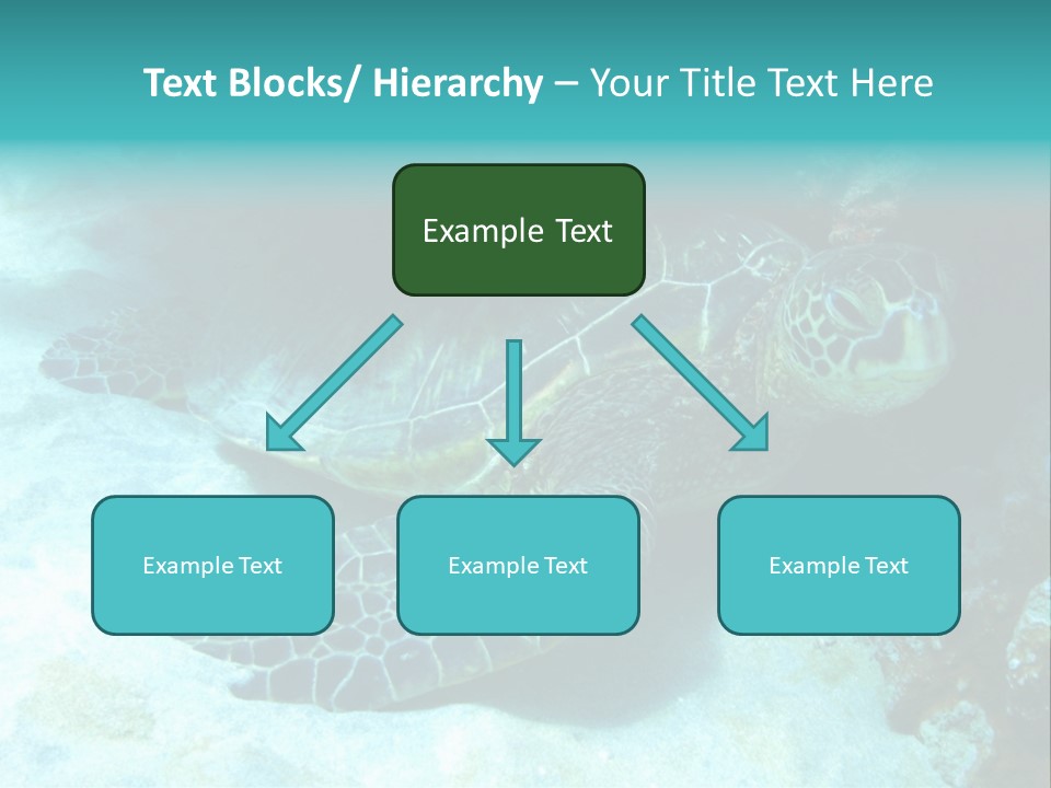 A Turtle Swimming In The Ocean Powerpoint Template PowerPoint Template