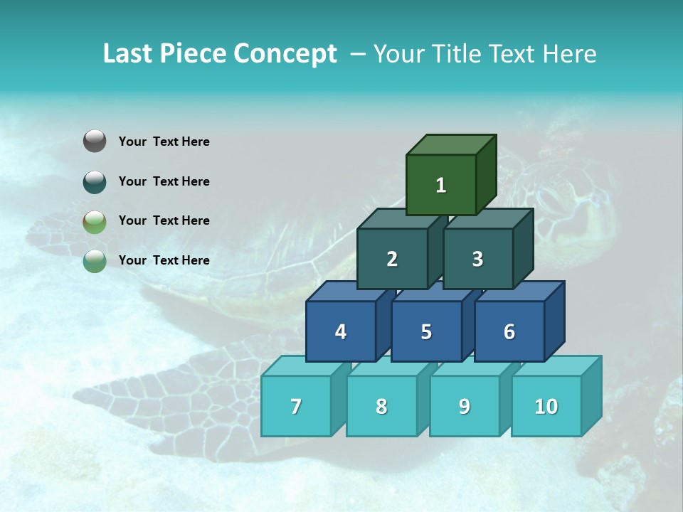 A Turtle Swimming In The Ocean Powerpoint Template PowerPoint Template