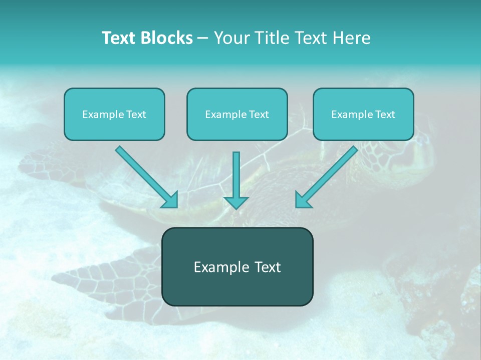 A Turtle Swimming In The Ocean Powerpoint Template PowerPoint Template
