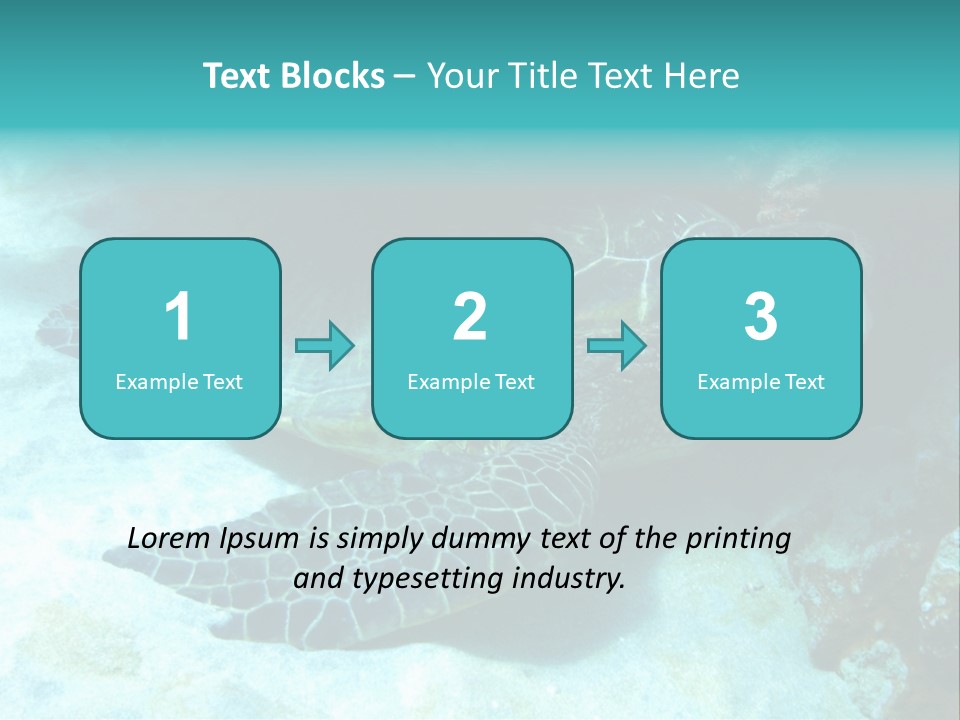 A Turtle Swimming In The Ocean Powerpoint Template PowerPoint Template