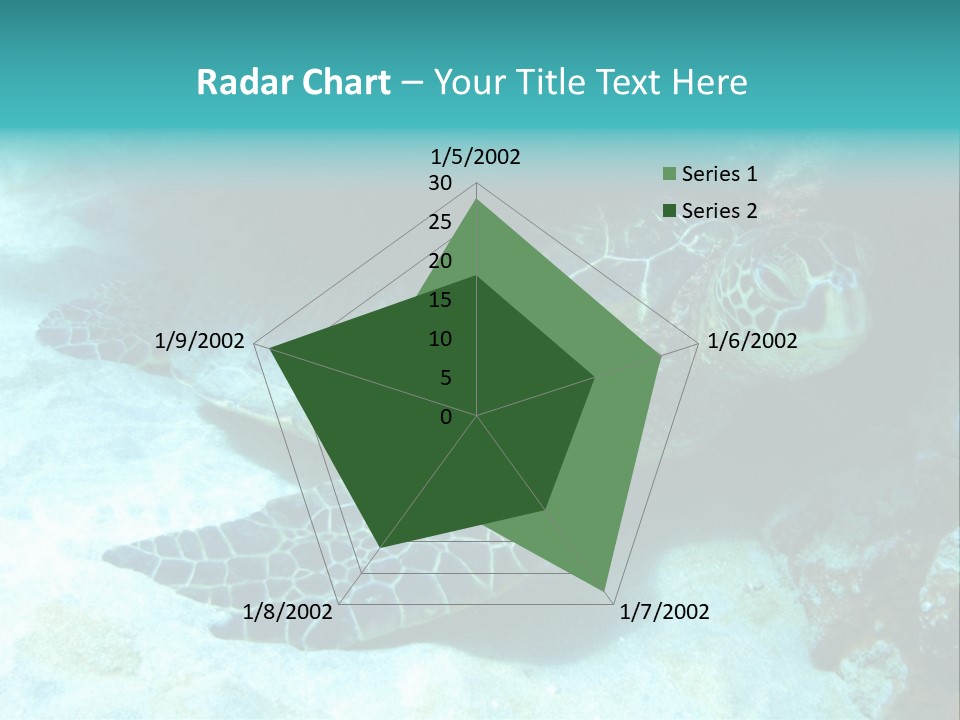A Turtle Swimming In The Ocean Powerpoint Template PowerPoint Template