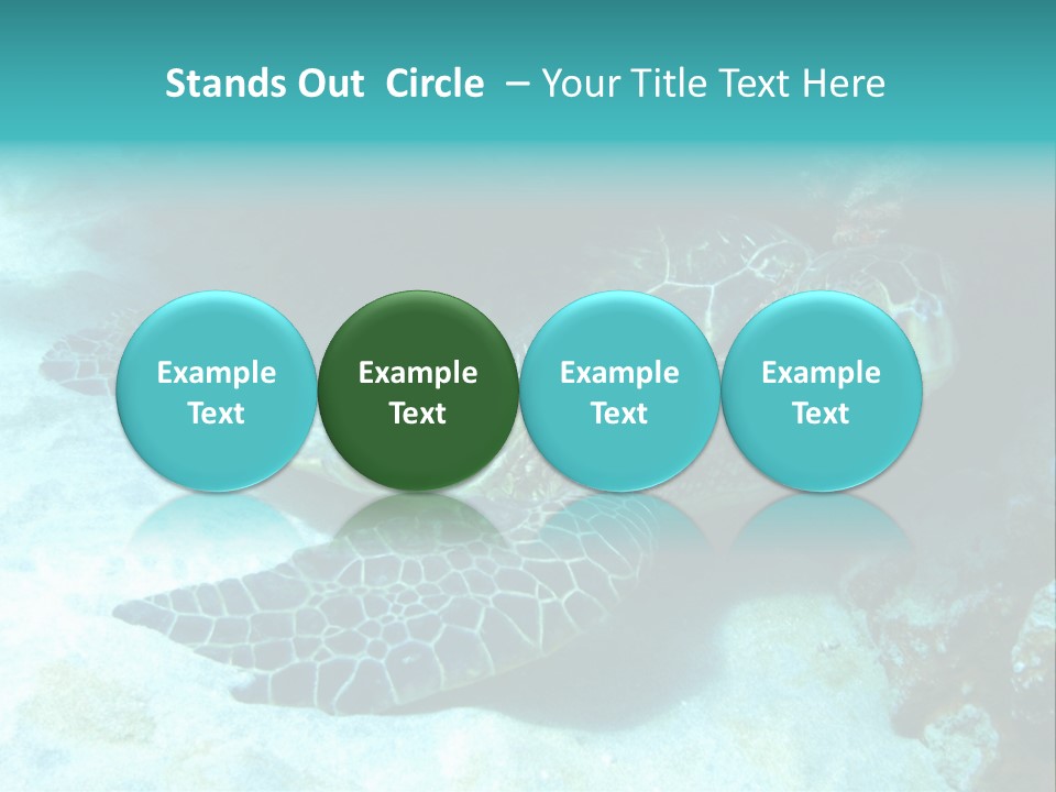 A Turtle Swimming In The Ocean Powerpoint Template PowerPoint Template