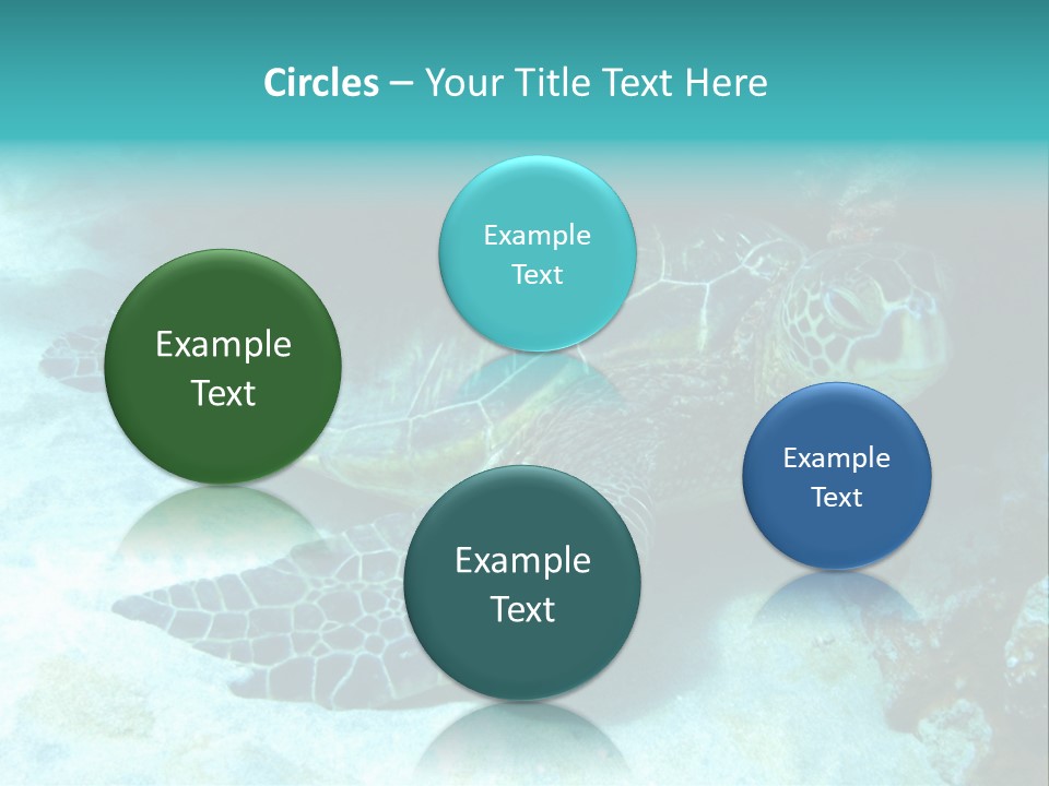 A Turtle Swimming In The Ocean Powerpoint Template PowerPoint Template