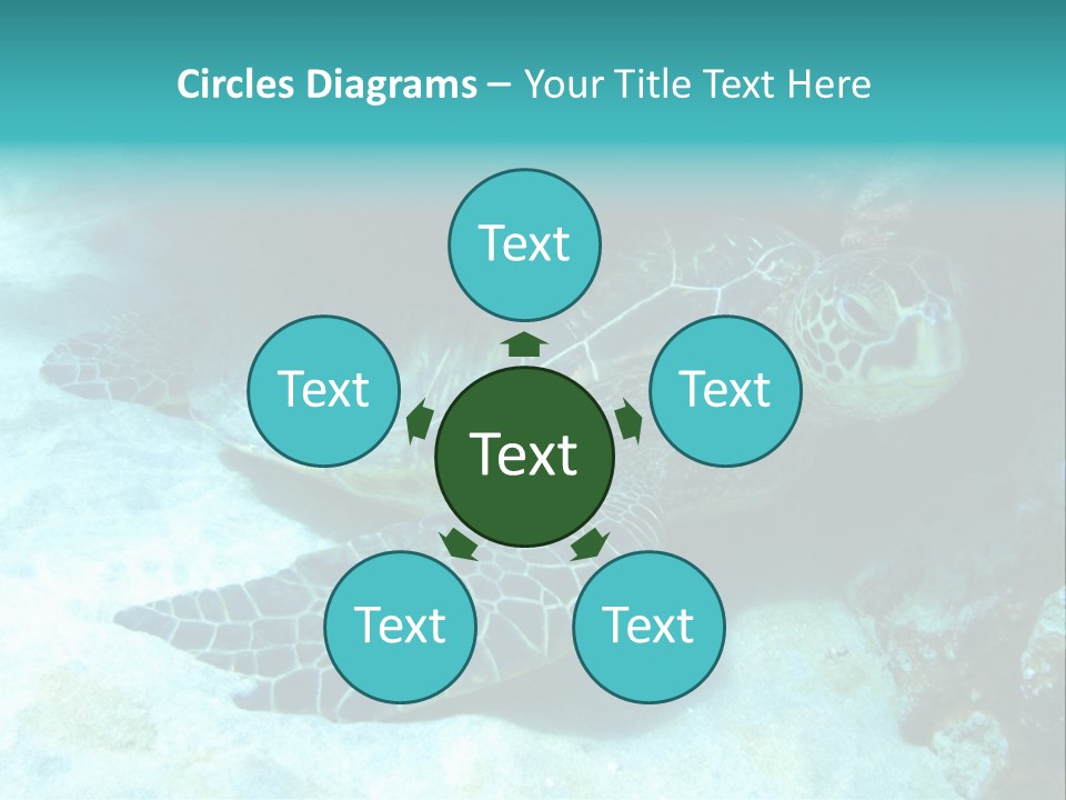 A Turtle Swimming In The Ocean Powerpoint Template PowerPoint Template