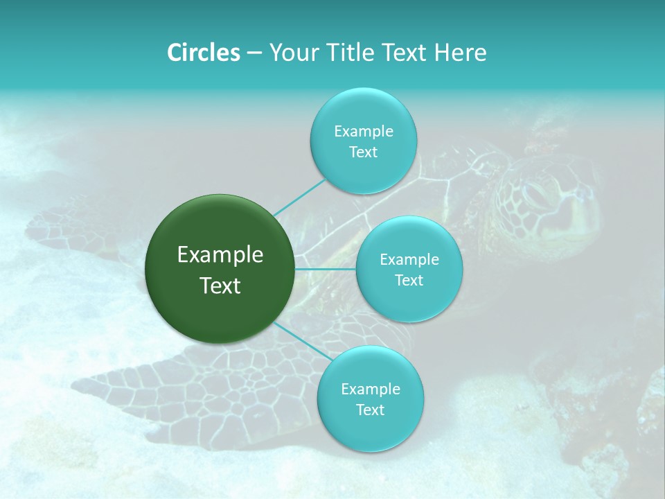 A Turtle Swimming In The Ocean Powerpoint Template PowerPoint Template