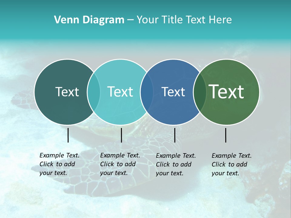 A Turtle Swimming In The Ocean Powerpoint Template PowerPoint Template
