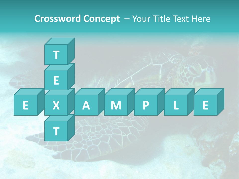 A Turtle Swimming In The Ocean Powerpoint Template PowerPoint Template