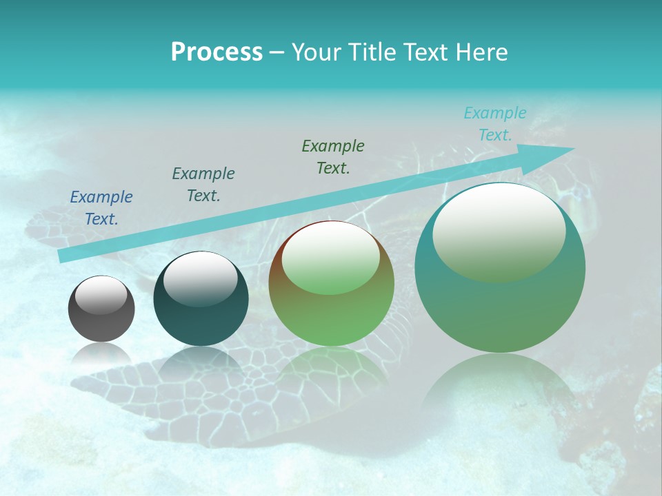 A Turtle Swimming In The Ocean Powerpoint Template PowerPoint Template