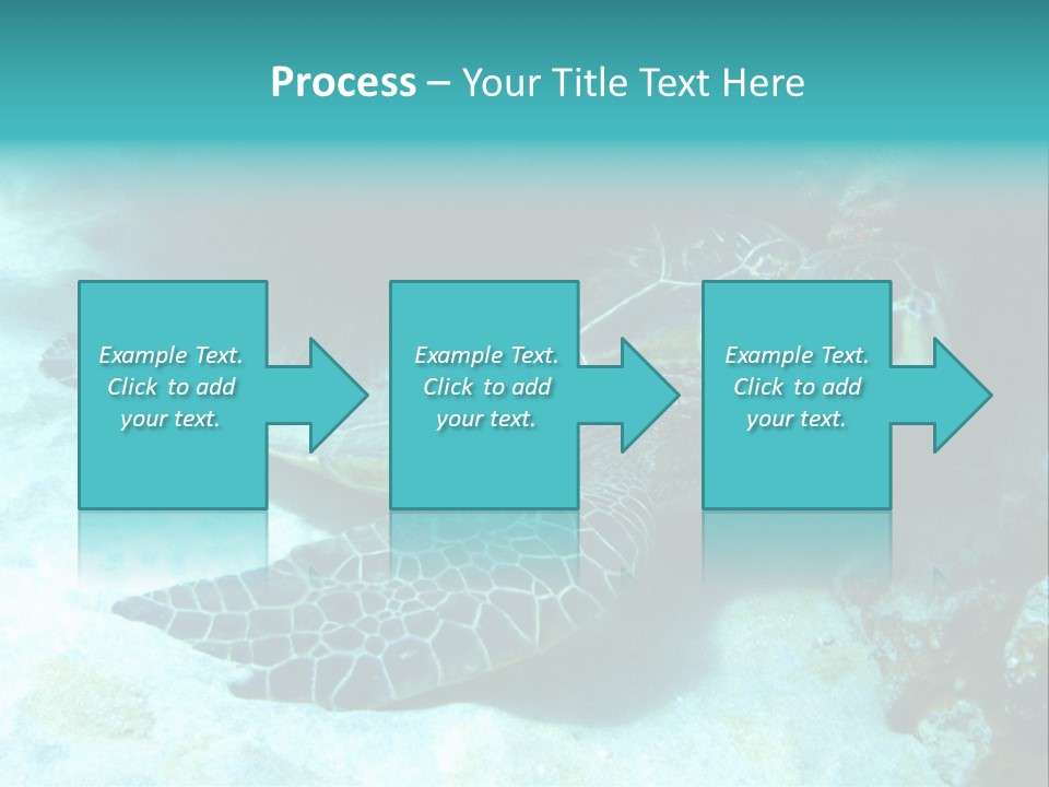 A Turtle Swimming In The Ocean Powerpoint Template PowerPoint Template