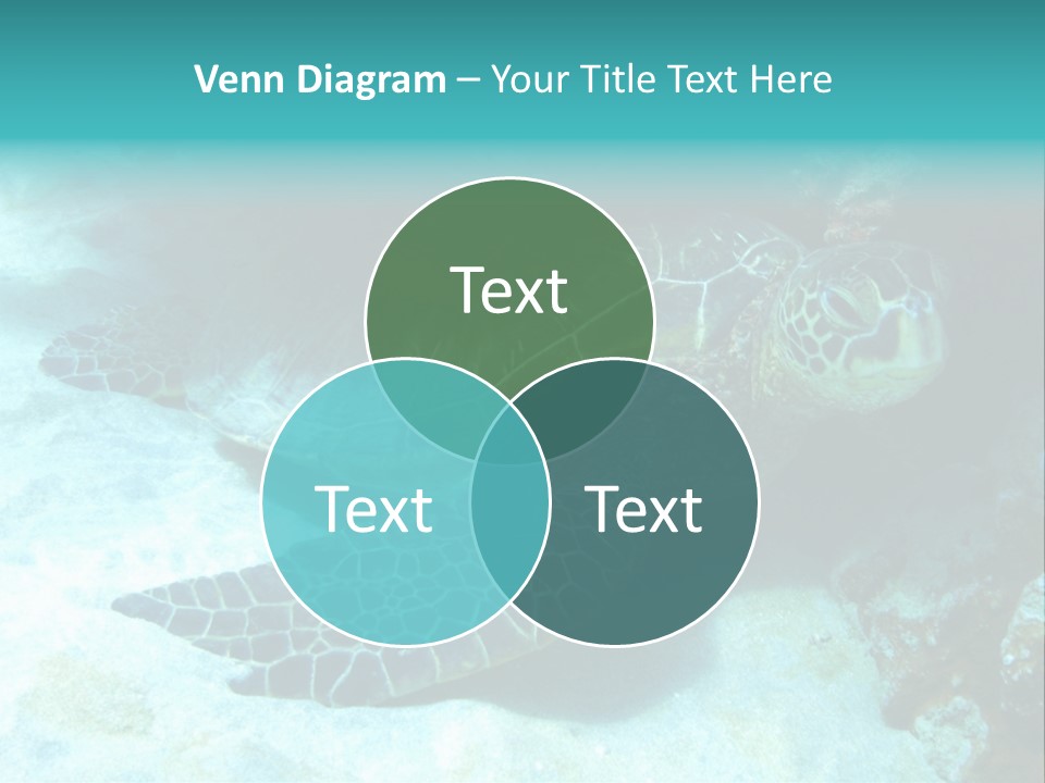 A Turtle Swimming In The Ocean Powerpoint Template PowerPoint Template