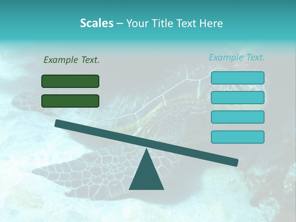 A Turtle Swimming In The Ocean Powerpoint Template PowerPoint Template