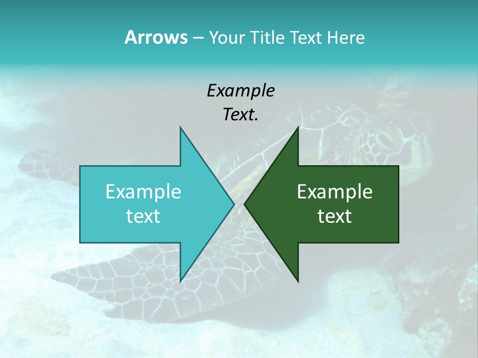 A Turtle Swimming In The Ocean Powerpoint Template PowerPoint Template