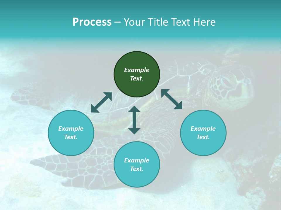 A Turtle Swimming In The Ocean Powerpoint Template PowerPoint Template