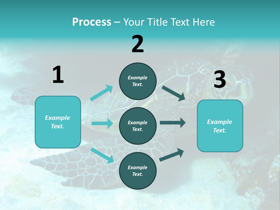 A Turtle Swimming In The Ocean Powerpoint Template PowerPoint Template