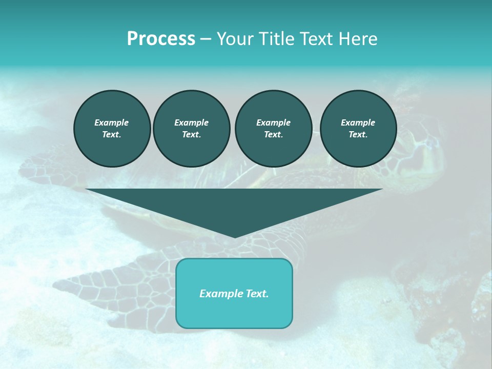 A Turtle Swimming In The Ocean Powerpoint Template PowerPoint Template