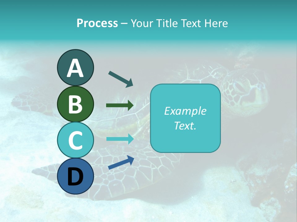 A Turtle Swimming In The Ocean Powerpoint Template PowerPoint Template