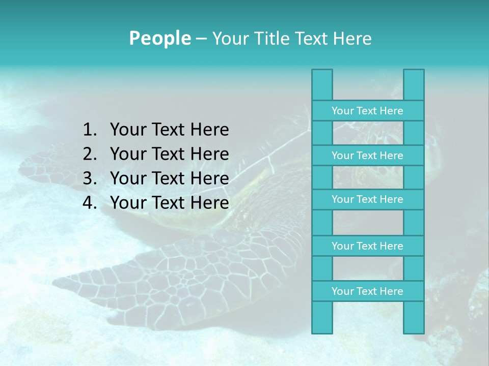A Turtle Swimming In The Ocean Powerpoint Template PowerPoint Template