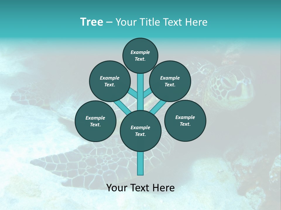 A Turtle Swimming In The Ocean Powerpoint Template PowerPoint Template