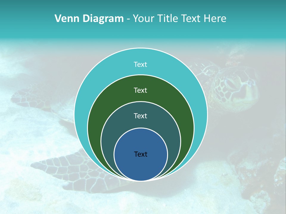 A Turtle Swimming In The Ocean Powerpoint Template PowerPoint Template