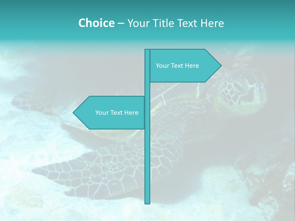 A Turtle Swimming In The Ocean Powerpoint Template PowerPoint Template