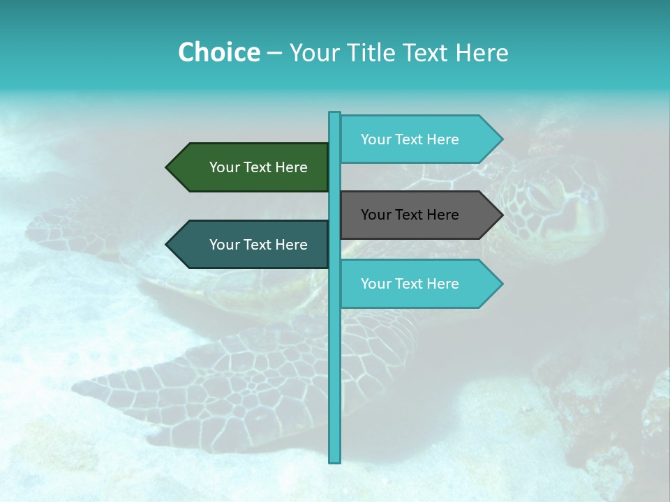 A Turtle Swimming In The Ocean Powerpoint Template PowerPoint Template