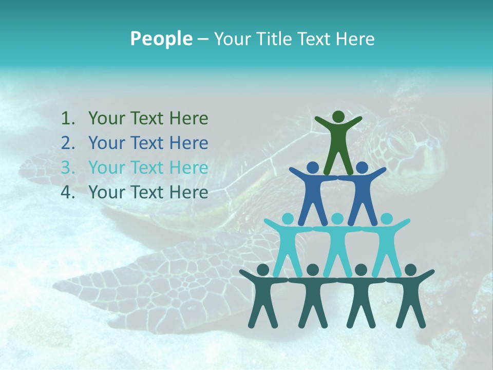A Turtle Swimming In The Ocean Powerpoint Template PowerPoint Template
