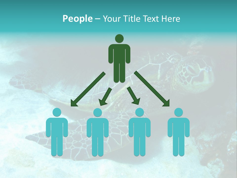 A Turtle Swimming In The Ocean Powerpoint Template PowerPoint Template