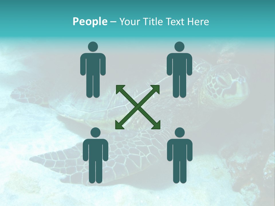 A Turtle Swimming In The Ocean Powerpoint Template PowerPoint Template