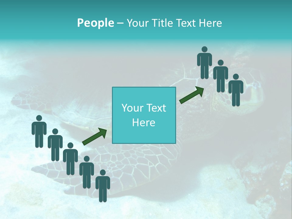 A Turtle Swimming In The Ocean Powerpoint Template PowerPoint Template