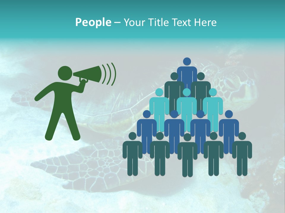 A Turtle Swimming In The Ocean Powerpoint Template PowerPoint Template