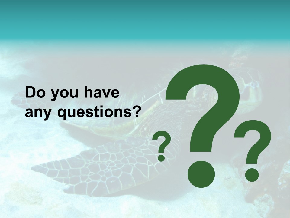 A Turtle Swimming In The Ocean Powerpoint Template PowerPoint Template