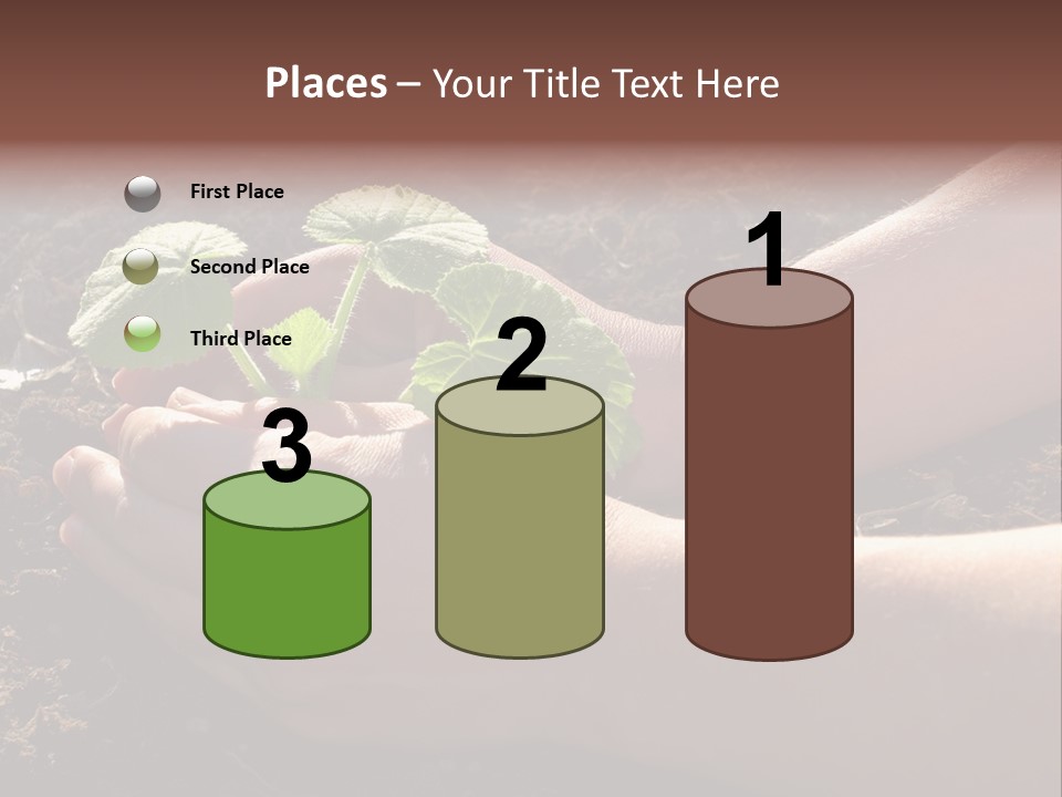 Closeup Farm Rural PowerPoint Template