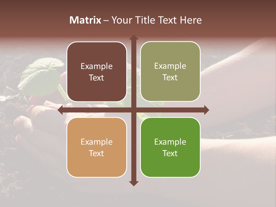 Closeup Farm Rural PowerPoint Template